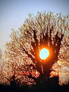 Pat 14 - Zon